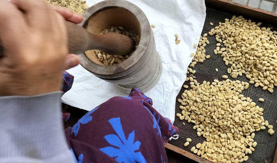 Traditional processing and sun-drying of Gayo coffee beans